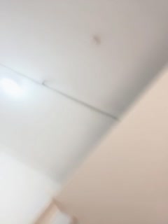 japan高清日本乱xxxxx-国产在线观看黄-成人AV