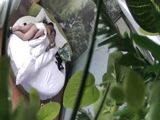 开心久久激情-国产四射综合-成人AV