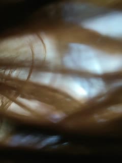 少妇一级淫片aaaaaa-《缉恶》在线观看免费-成人AV