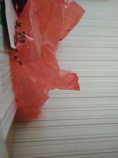 国产一区二区三区黄-丝袜脚交免费网站❌Xx日产-成人AV