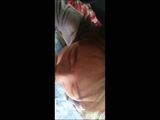 夜蒲2完整版-小丹秋芬-成人AV