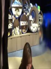 美女的诞生在线观看国语版-黄色A片90分钟-成人AV