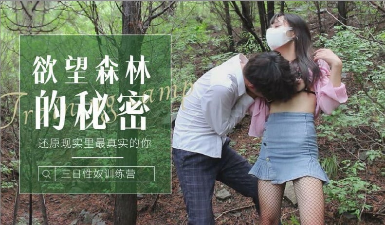 bl小说 高h-雪中悍刀行第二部50集免费播放-成人AV