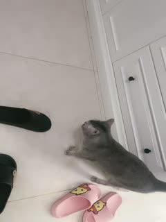 日本黄色动漫网站在线观看-relife-成人AV