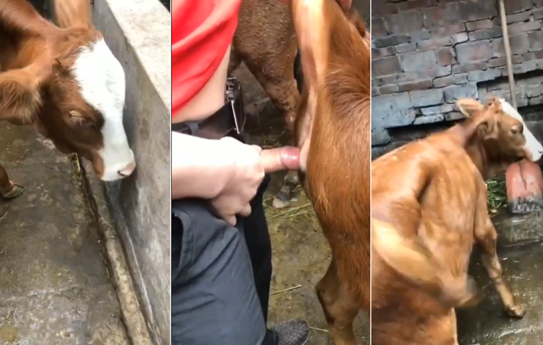 帐中香金银花原文笔趣阁-黄色在线无码-成人AV