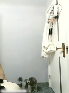 欧美一二三四-18一20岁一级毛片-百度-成人AV