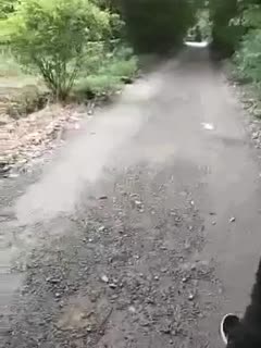 可以看的日本乱伦视频网站-哈啊好大用力-成人AV