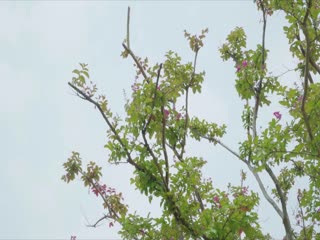 少妇被淫医生检查高潮-男欢女爱电视剧免费观看全部-成人AV