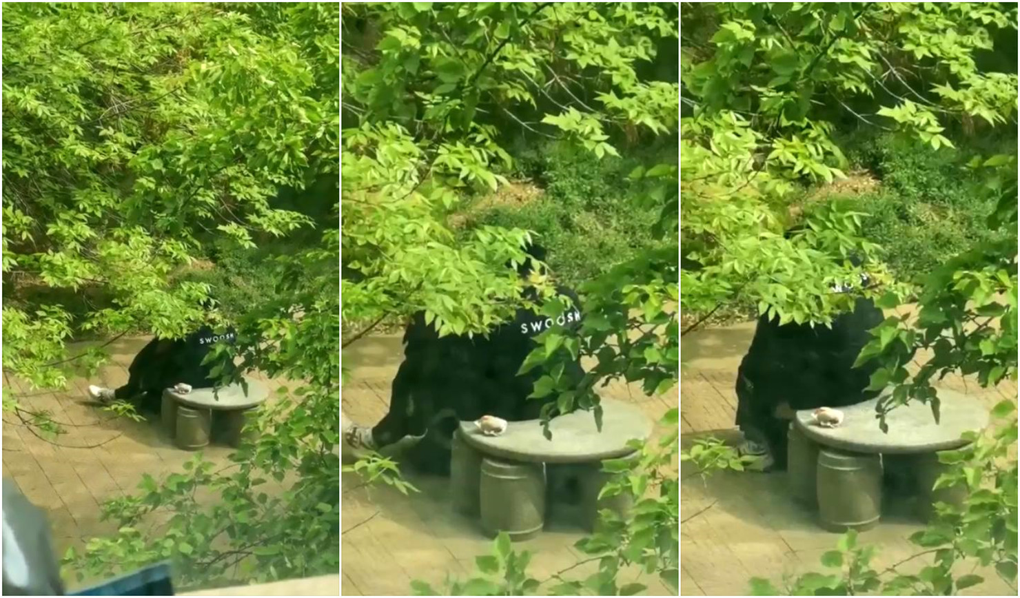 艳女伦交一级毛片-大肉大榛一进一出好爽-成人AV