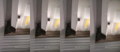 梨花泪-看片91-成人AV