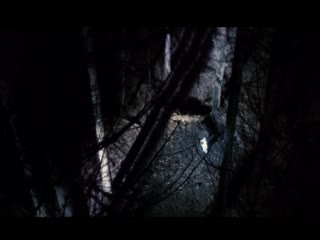 国产91久久久久蜜臀青青天草二-新婚女侠女的呻吟-成人AV