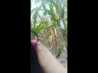 我把女班长日出水来的小说-黄色录像性爱片-成人AV