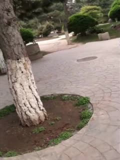 h版小龙女-秘书奶好大好紧快叫h多人h-成人AV