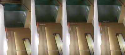 大屁股爆乳Bbw-国产乱码久久久久久一区二区-成人AV