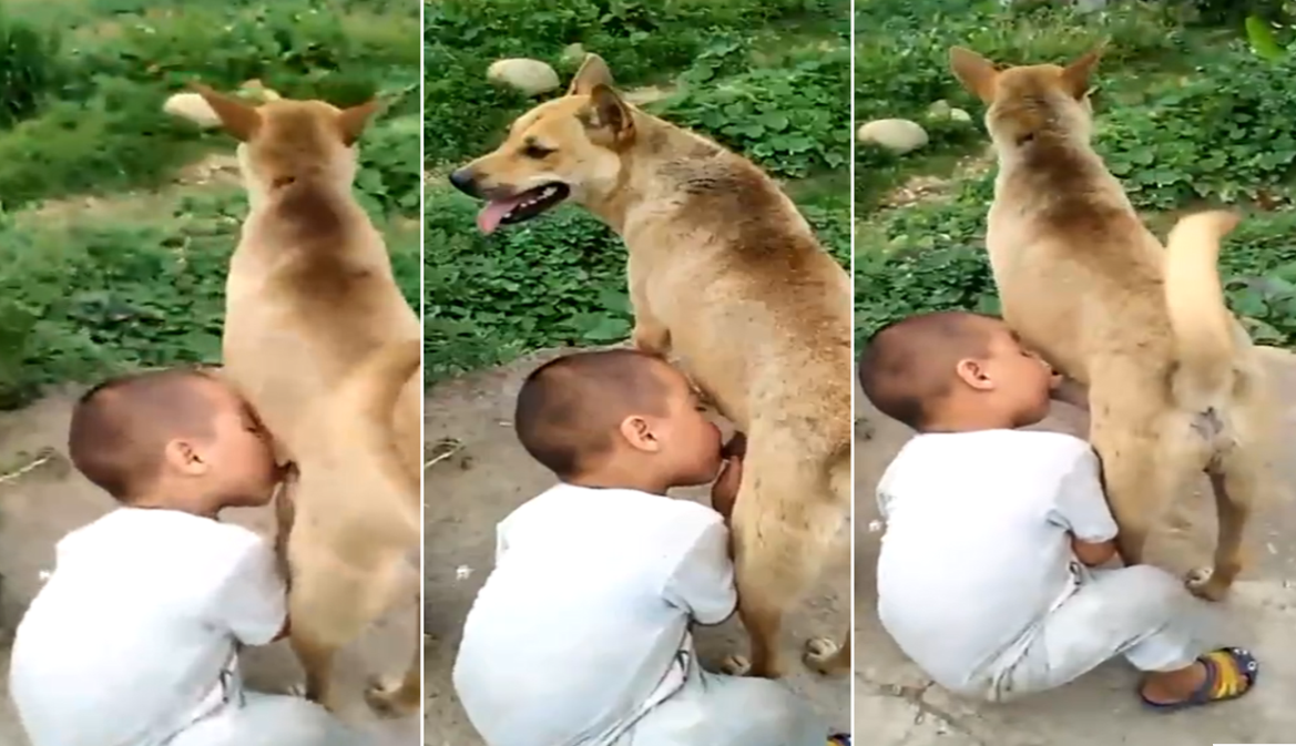 玉米地野交-香港一级婬片艳魔大战-成人AV