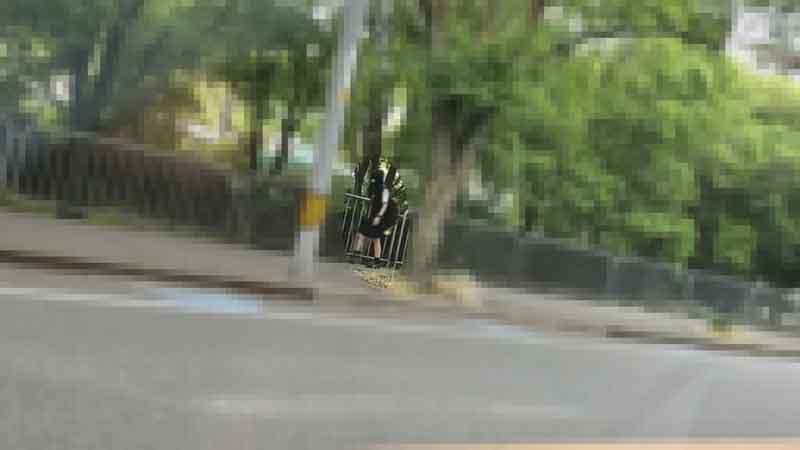 伦理片麻豆-99国产精品久久久久久久床豆-成人AV