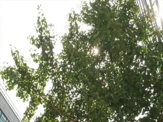 婉儿别闹超级火箭定制开箱视频-免费三级黄-成人AV