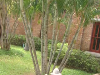 试看一级片-又刺激又舒服又猛的视频-成人AV