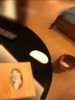 国产又大又粗XXXXX-午夜免费-成人AV