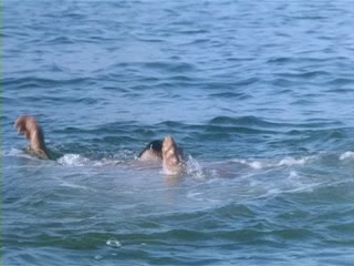 最近中文字幕免费在线观看-99re热精品视频国产免费-成人AV