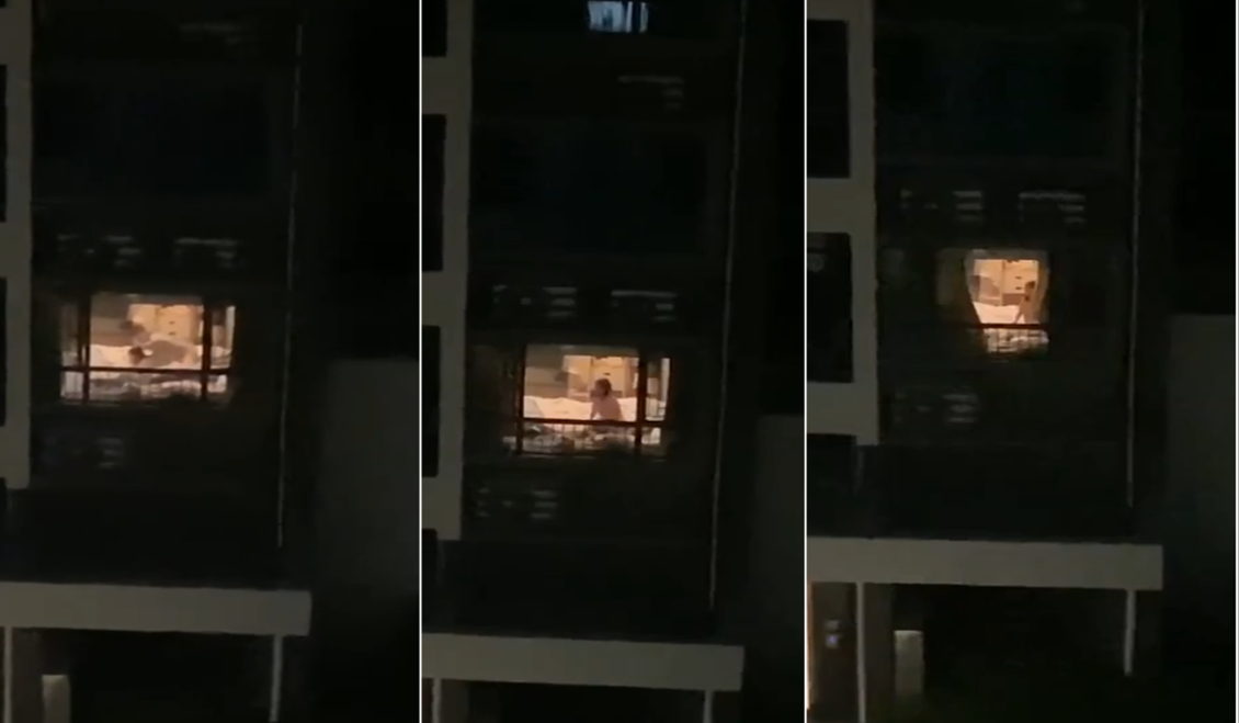 爱搞视频免费在线观看-我的邻居3-成人AV