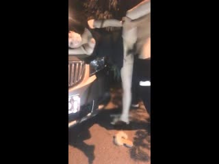 黄色美女网站大门-男人17种幻想-成人AV