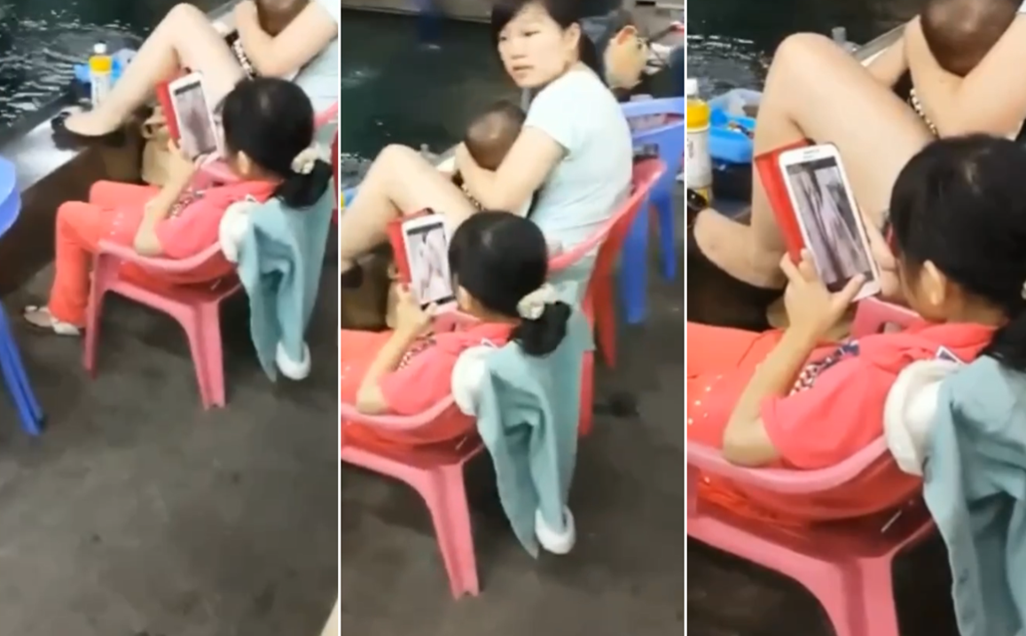 假正经1v1sc笔趣阁免费阅读小说-www.日本com-成人AV