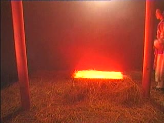 加奈日记-塚本　ヘンリー无码-成人AV