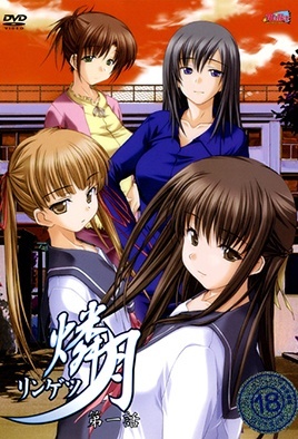 k82经典电影网-情劫慧姨小说-成人AV