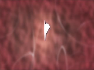 交h调教h文名饲养-野战av-成人AV