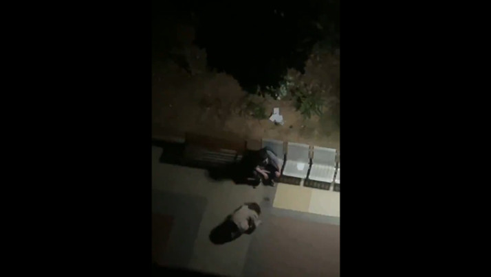 来个毛片-美女犬调教-成人AV