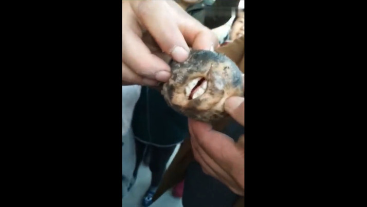 拿起枪的简-操美女屁眼小说-成人AV