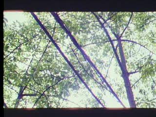 成人xxxxxx-一级性生活黄色动作片-成人AV