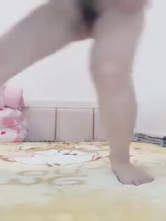 调教前女友吞精喝尿-香蕉视频电影-成人AV