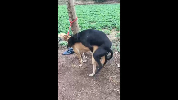 国产精品外围-天堂网wwww-成人AV