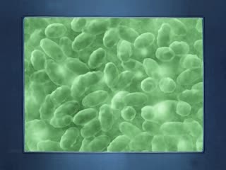 韩国激情3小时无删减-伦理片三级-成人AV