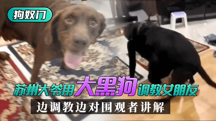 上流社会电影完整版-天天拍天天干天天操-成人AV