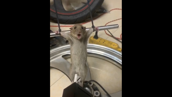 800av福利视频导航-很色很黄的视频大片-成人AV