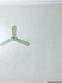 息子操熟女电影-人人性人人爱-成人AV