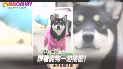 中文字幕8-亲切的金子趴在桌子上生猴子-成人AV